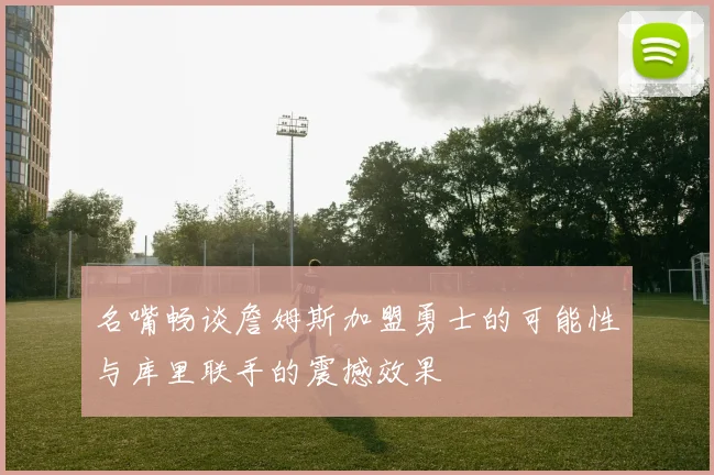 名嘴畅谈詹姆斯加盟勇士的可能性与库里联手的震撼效果